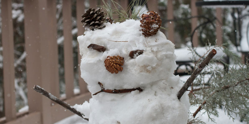 Snow Things: Snow Gremlin